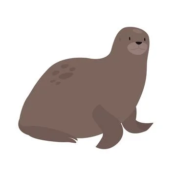 Arctic ocean seal Illustration