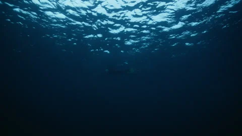 Arctic Ocean Underwater Looking Up Toward Rippling Surface Light Stock Footage 334053673