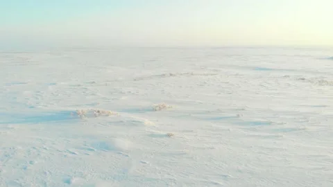 Arctic Plains And Tundra Stock Footage 170053042