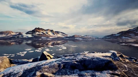 Arctic pole in 3d animation Video stock 156826927