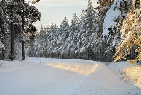 Arctic road Stock Photos