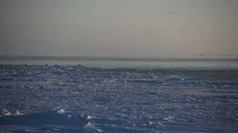Arctic Sea Ice Sheet, Bering Sea, Nome, Alaska Vidéo 10715243