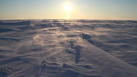 Arctic Storm. Arctic Blizzard. Blowing Wind. Snow Drift. Extreme Temperature Stock Footage 150677895