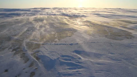 Arctic Storm. Arctic Blizzard. Blowing Wind. Snow Drift. Extreme Temperature Stock Footage 150679338