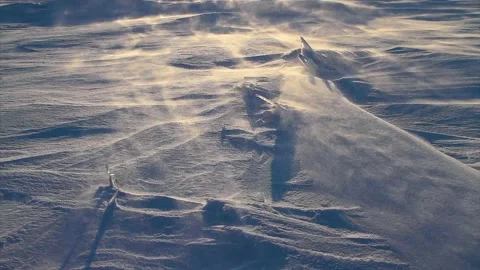 Arctic Storm, Arctic Blizzard, Snow Drift, High Wind, white storm. Polar winter Stock Footage 152183404