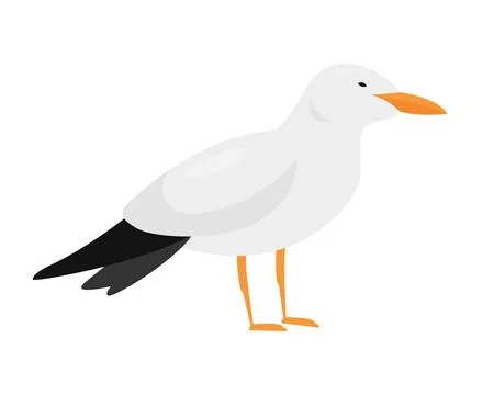 Arctic tern bird Stock Illustration