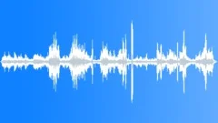 Arctic Tern Calls InSound Effect