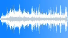 Arctic Tern Calls InSound Effect