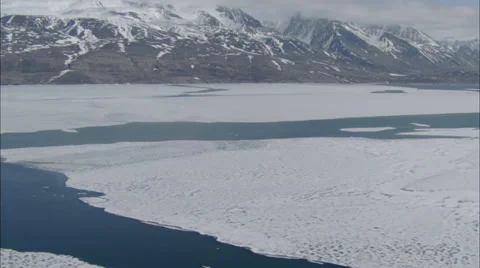 Arctic Tundra Stock Footage 39911987