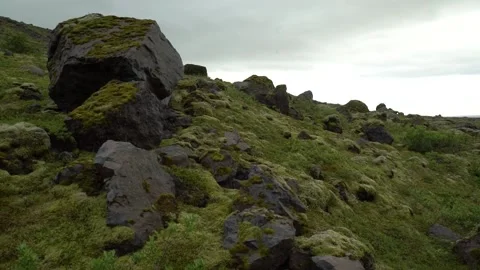 Arctic Tundra Landscape Stock Footage 149277613