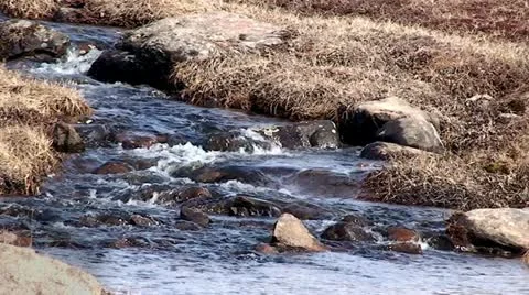 Arctic Tundra Stream.mp4 Stock Footage 11443807