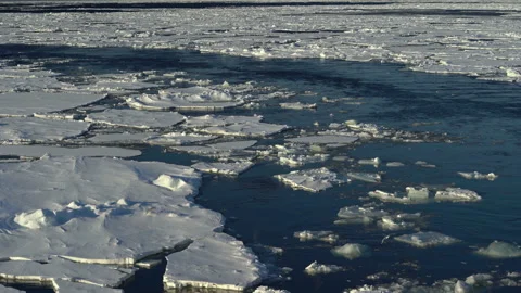 Arctic. Vessel trace. Gulls fly over ice. Chunks of ice float. Crushed ice on Stock Footage 196256541
