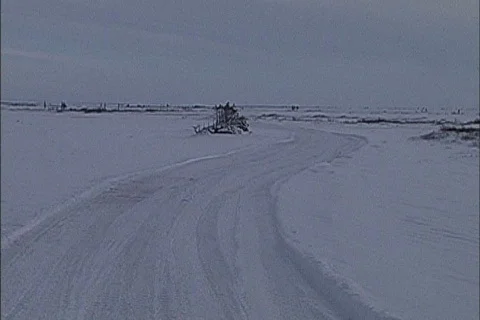 Arctic winter Canada Stock Footage
