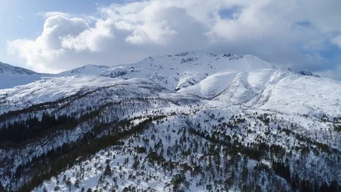 Arctic Winter Landscape with Snowy Woods and Mountains 스톡 동영상 123181253