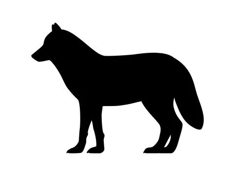 Arctic wolf silhouette Illustrazione stock