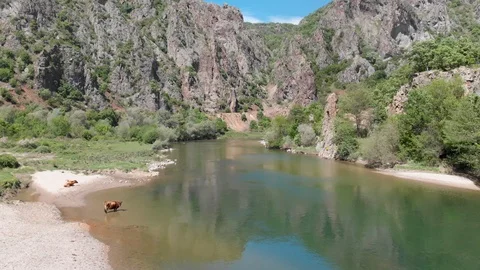 Arda river Stock Footage 118210649