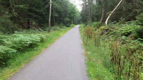 Ardennes cycle route Vídeos de archivo 281106762