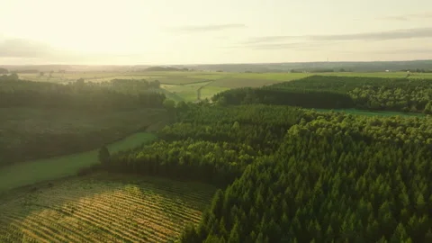 Ardennes Forest and Patchwork Farmland Glow in Warm Evening Sunlight Stock Footage 344038345