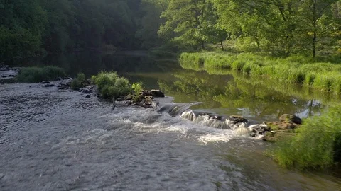 Ardennes river cascade semois bridge landscape Stock Footage 109116036