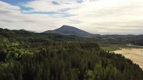 Ards forest park  Stock Footage 219241376