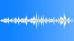 Are these animals 04 Sound Effect