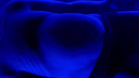 Area 51. An alien in ultraviolet light. A life-size humanoid after a UFO crash.  Stock Footage 264259949