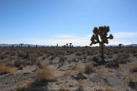 Area 51 스톡 사진