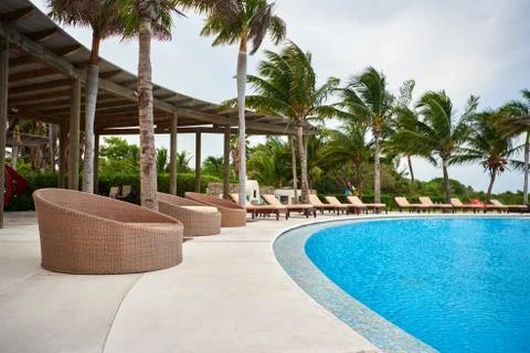 The area around the pool with palm trees. Blue water. Stock Photos