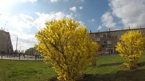 Area, city, time-lapse Video stock 106304236