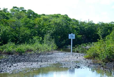 Area Closed Foto stock