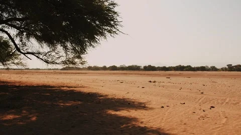 Area of desert or large bed of long-dried river with savannah on both sides Vidéo 302492200