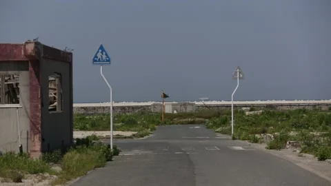 Fukushima tsunami footage