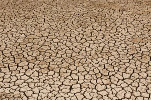 Area of Dried Soil Stock Photos