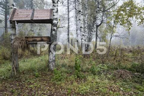 Area feeding hoofed wild animals Stock Photos