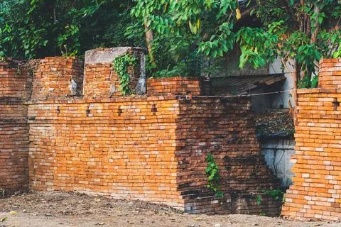 Area of gap caused by old cracks in ancient brick wall and trees growing th.. Stock Photos