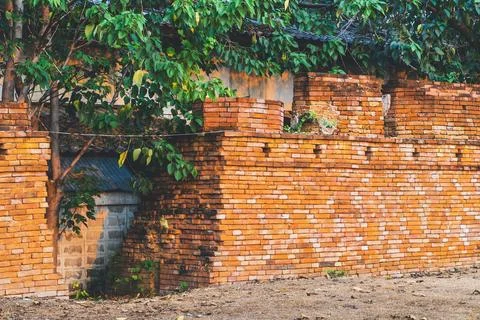 Area of gap caused by old cracks in ancient brick wall and trees growing th.. Stock Photos