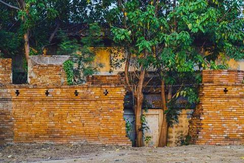 Area of gap caused by old cracks in ancient brick wall and trees growing th.. Stock Photos