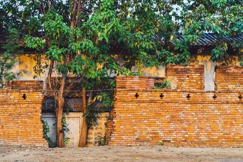 Area of gap caused by old cracks in ancient brick wall and trees growing th.. Stock Photos