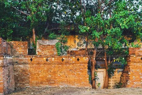 Area of gap caused by old cracks in ancient brick wall and trees growing th.. 스톡 사진
