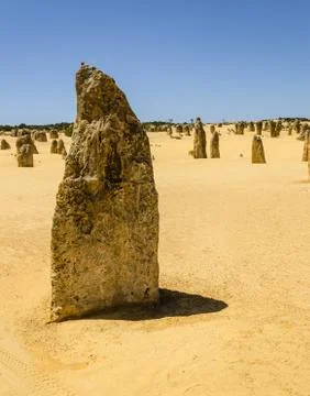 Area with thousands of limestone formations called pinnacles Stock Photos
