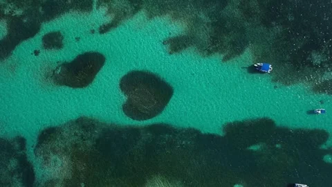 Area top view at Heart-shaped barrier reef. Caribbean Sea. Vertical video Stock Footage 269093914
