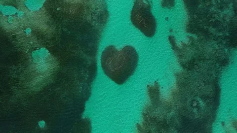 Area top view at Heart-shaped barrier reef. Caribbean Sea. Vertical video Stock Footage 269093933