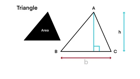 Area of a triangle using the formula, Mathematics, triangle measurement Stock Footage 306402964