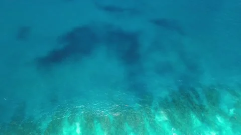 Area view of Barrier Reef landscape aerial of colorful coral and turquoise ocean Stock Footage 273174066