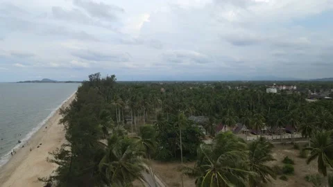 Area view of coconut tree and sand beach in Tok Bali, Kelantan Stock Footage 227120868