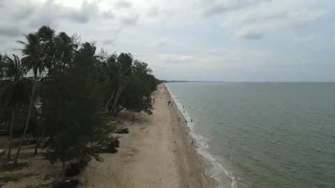 Area view of coconut tree and sand beach in Tok Bali, Kelantan Stock Footage 227120985