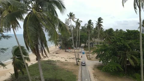Area view of coconut tree and sand beach in Tok Bali, Kelantan Stock Footage 227121683