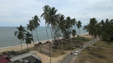 Area view of coconut tree and sand beach in Tok Bali, Kelantan Stock Footage 227121844