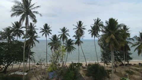 Area view of coconut tree and sand beach in Tok Bali, Kelantan Stock Footage 227121978