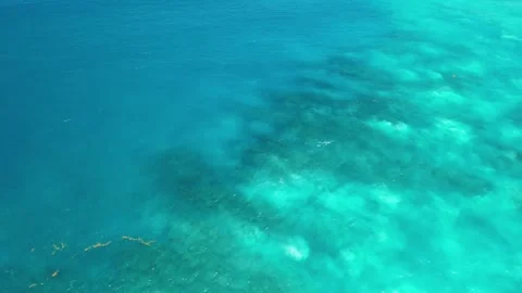 Area view of great Barrier Reef landscape aerial of gradient of blue Vídeo Stock 268871725
